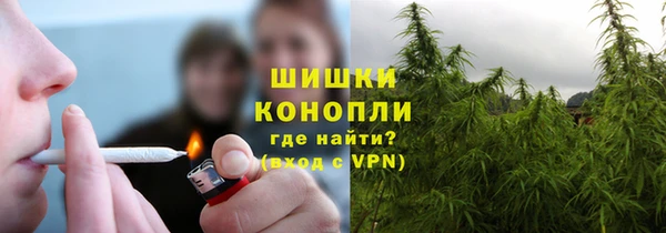 соль курить ск Алзамай
