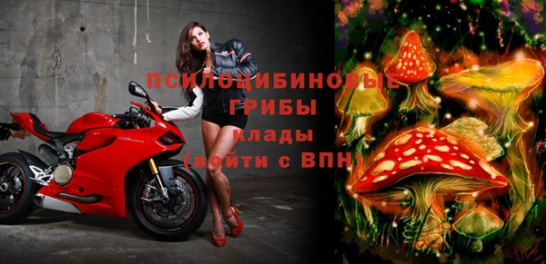 ГАЛЛЮЦИНОГЕННЫЕ ГРИБЫ Алексин