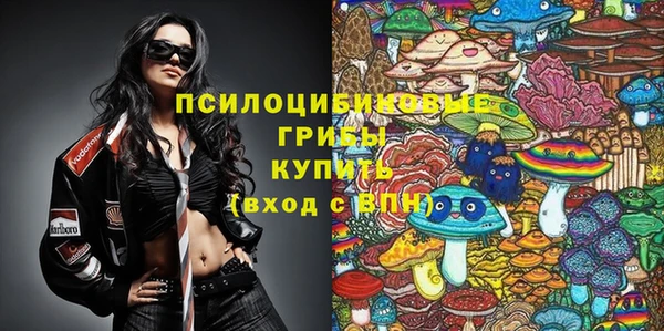 ГАЛЛЮЦИНОГЕННЫЕ ГРИБЫ Алексин