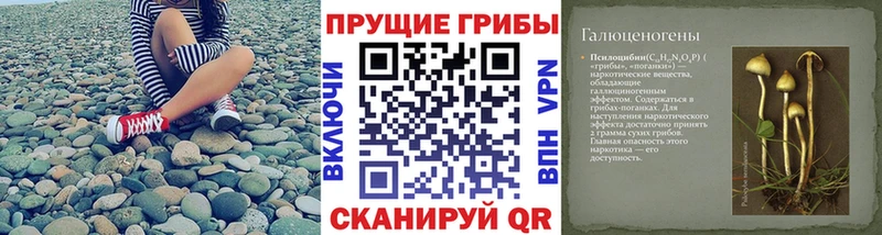 Галлюциногенные грибы ЛСД  ОМГ ОМГ ссылки  Октябрьск  закладки 